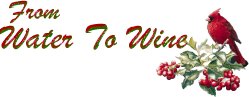 watertowine.jpg (7238 bytes)